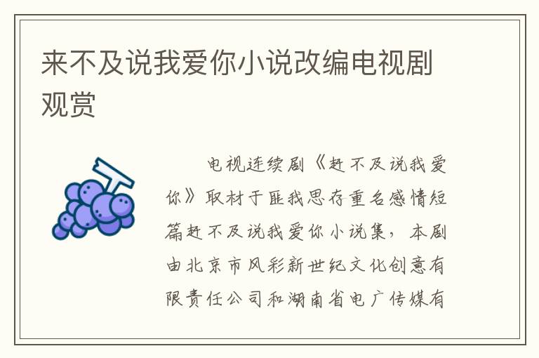 来不及说我爱你小说改编电视剧观赏